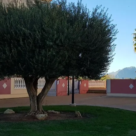 Marinas Grand Terrace دينايا